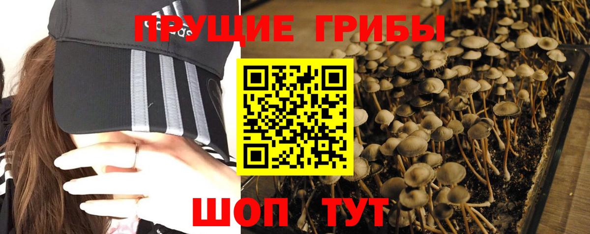 Галлюциногенные грибы прущие грибы  Псилоцибиновые грибы Cubensis  Пушкино  Вход с VPN 